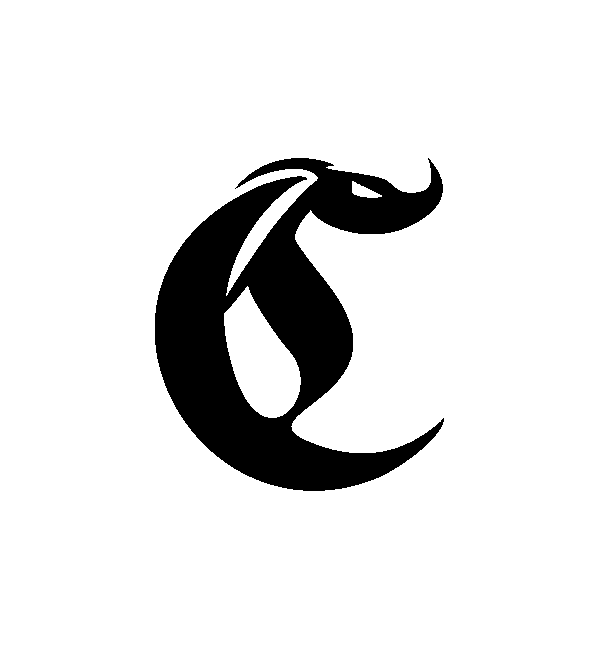 Wsparcie organizatorów